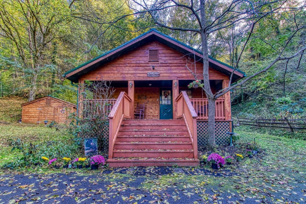 Cozy Creek Cabin Pigeon Forge Buitenkant foto
