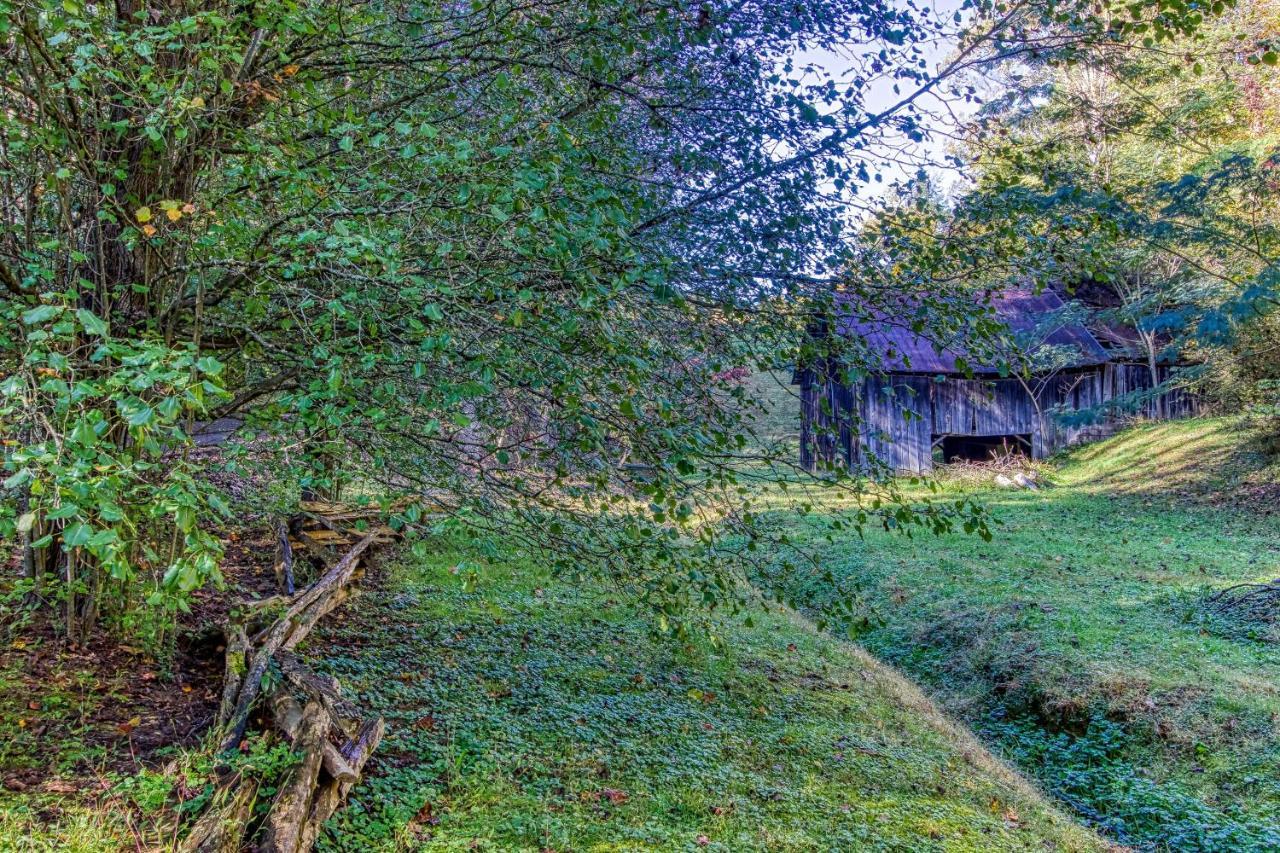 Cozy Creek Cabin Pigeon Forge Buitenkant foto