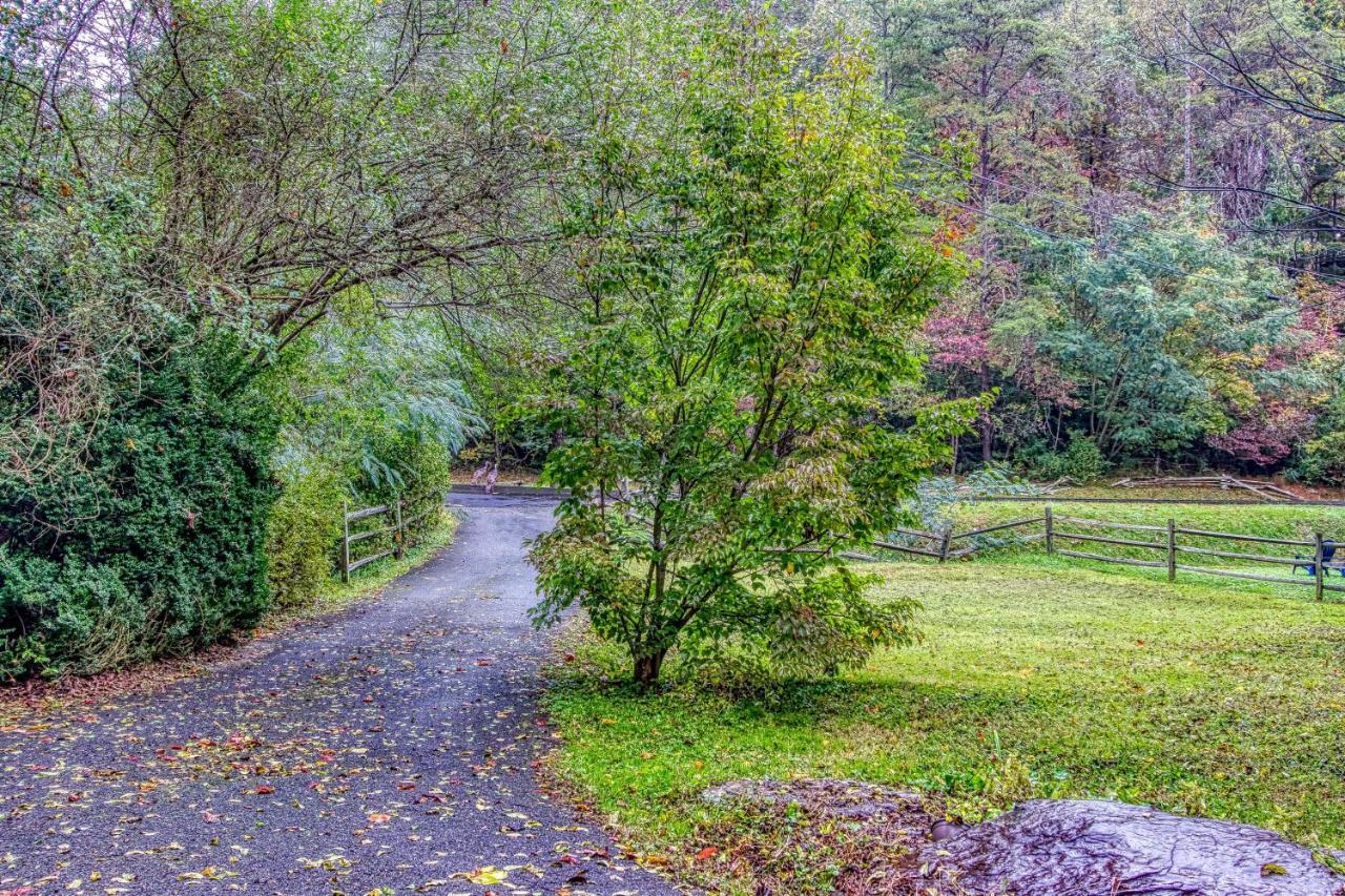 Cozy Creek Cabin Pigeon Forge Buitenkant foto