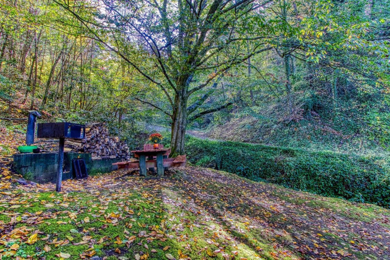 Cozy Creek Cabin Pigeon Forge Buitenkant foto