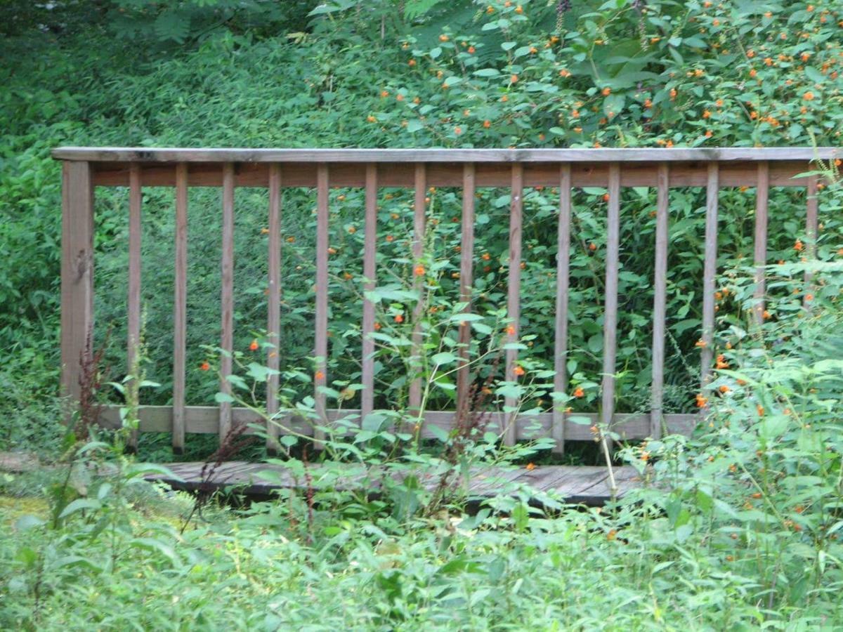 Cozy Creek Cabin Pigeon Forge Buitenkant foto