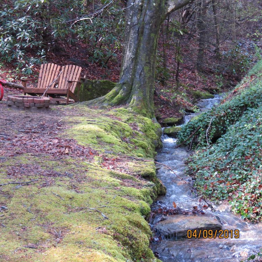 Cozy Creek Cabin Pigeon Forge Buitenkant foto