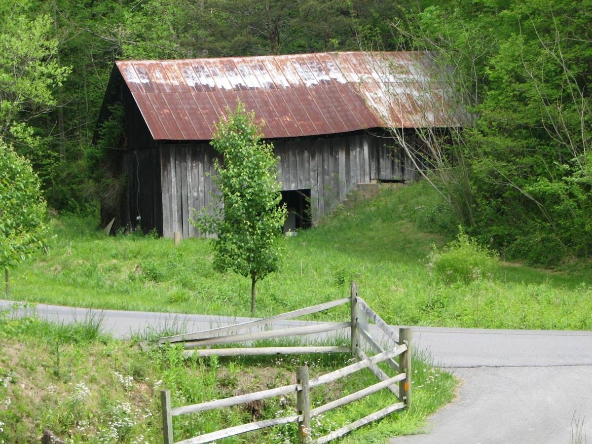 Cozy Creek Cabin Pigeon Forge Buitenkant foto